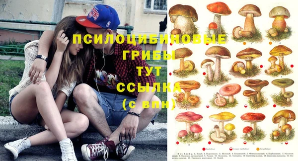 COCAINE Зеленокумск