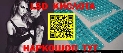 крисы Малгобек