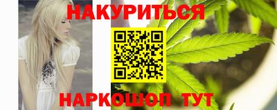 крисы Малгобек