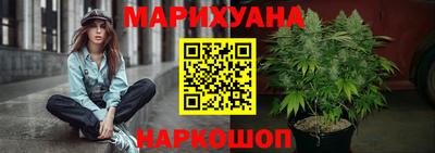крисы Малгобек