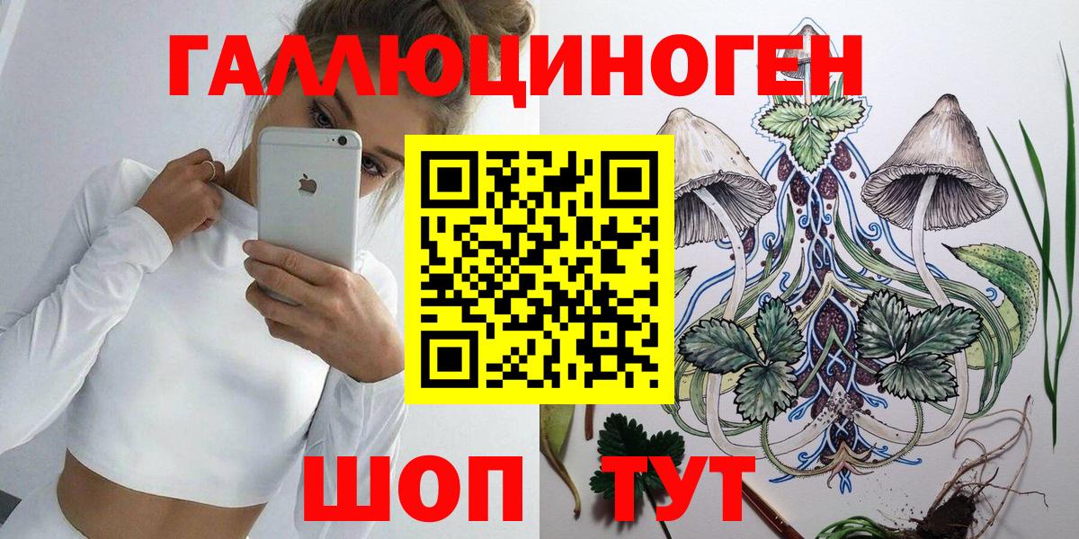 Сертолово  Псилоцибиновые грибы GOLDEN TEACHER  Галлюциногенные грибы Psilocybine cubensis  Вход с VPN 