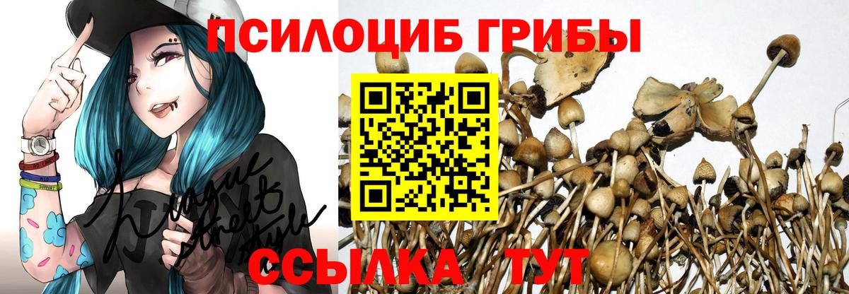 Псилоцибиновые грибы мицелий Сертолово